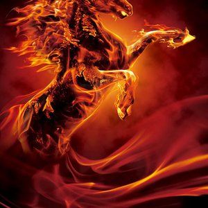 Meet your Posh Ambassador Valleygirl 66